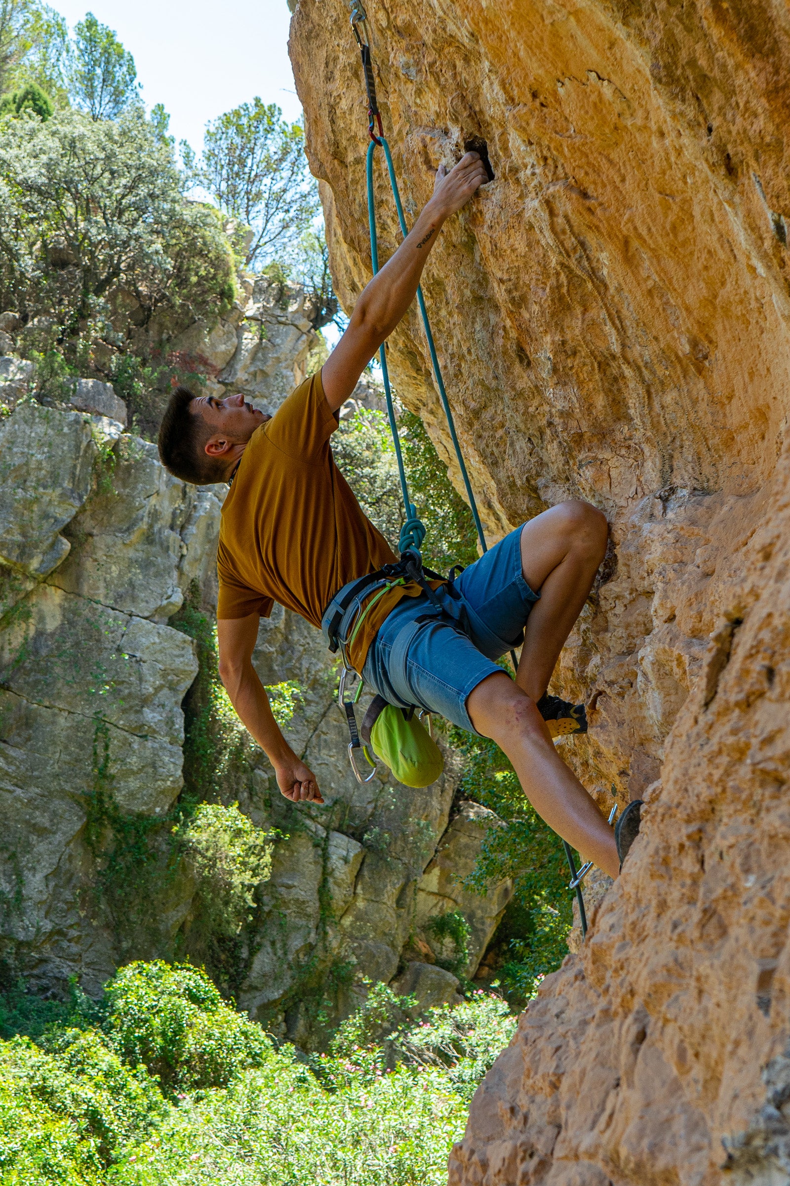 Maglietta in cotone biologico color senape Mountains