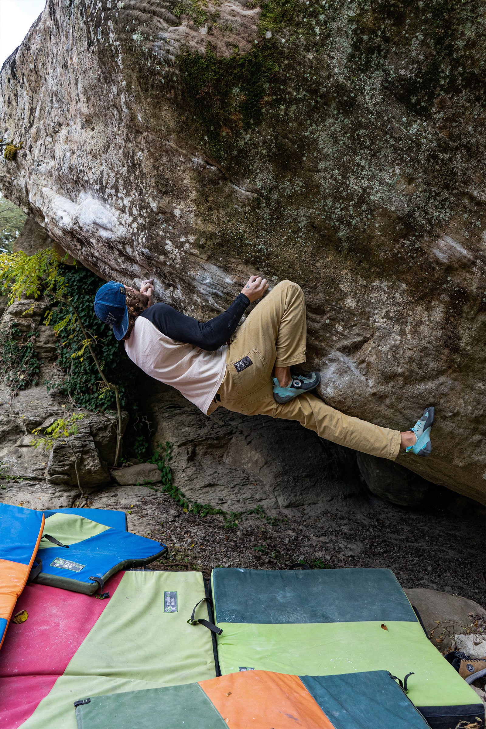 T-shirt in cotone biologico Floc Cream