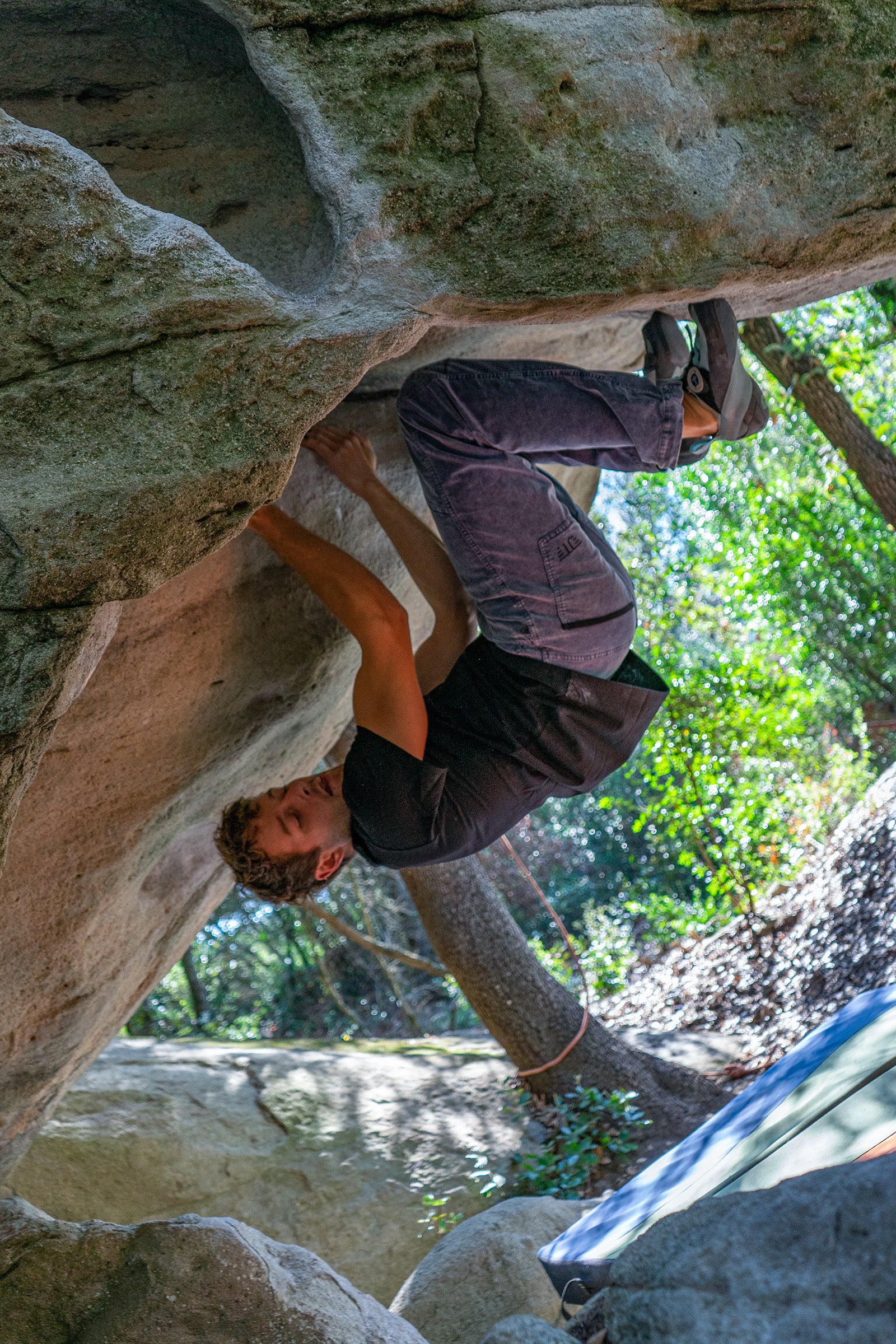 Pantaloni da trekking e arrampicata da uomo Turia Cord Lobelia